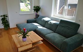 Spacy Apartment Next To The Center Of Graz With Terrasse